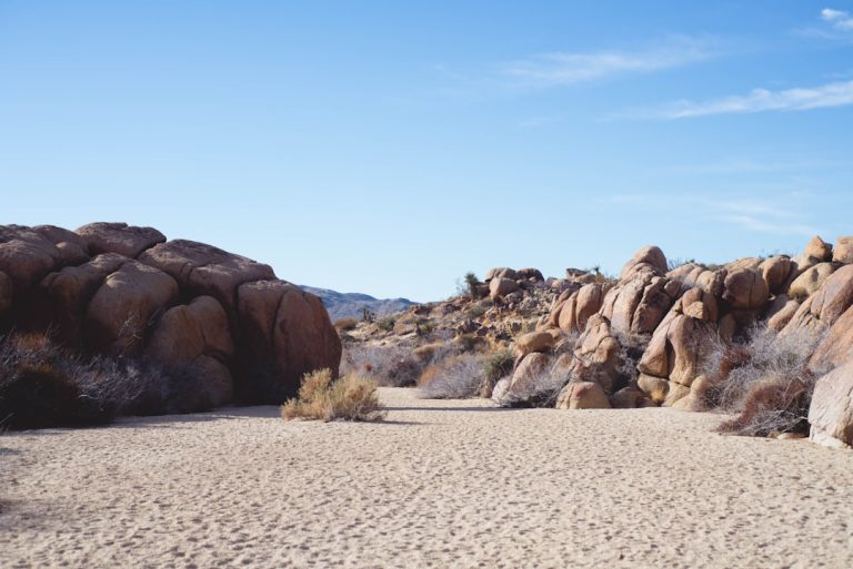 Embracing the Great Outdoors: A Journey to Discover the Beauty of Nature