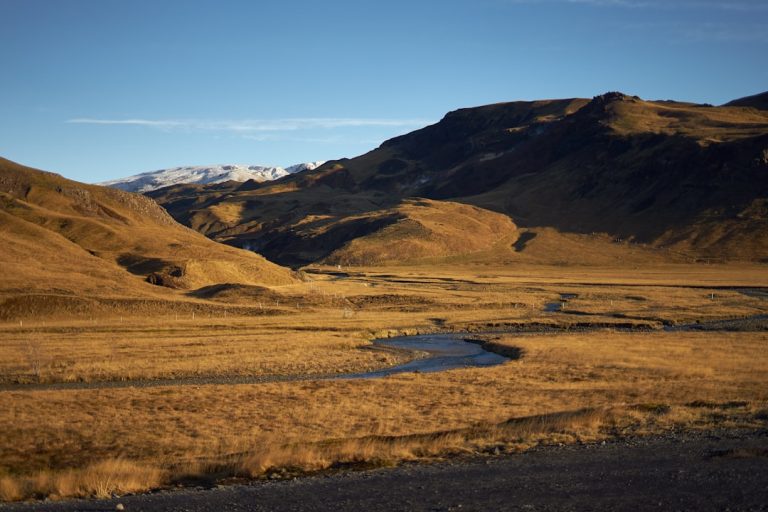 Embracing the Wild: Unforgettable Outdoor Adventures Await